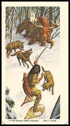 4 Moose Hunt